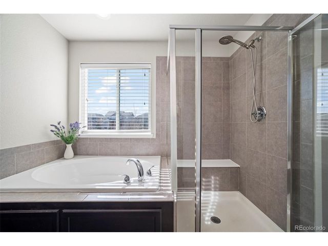 11195 Cinch Way, Parker, CO 80134