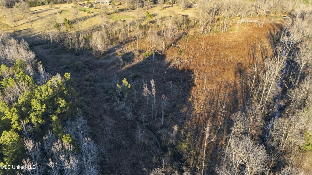 Gravel Springs Road, Senatobia, MS 38668 — photo 2