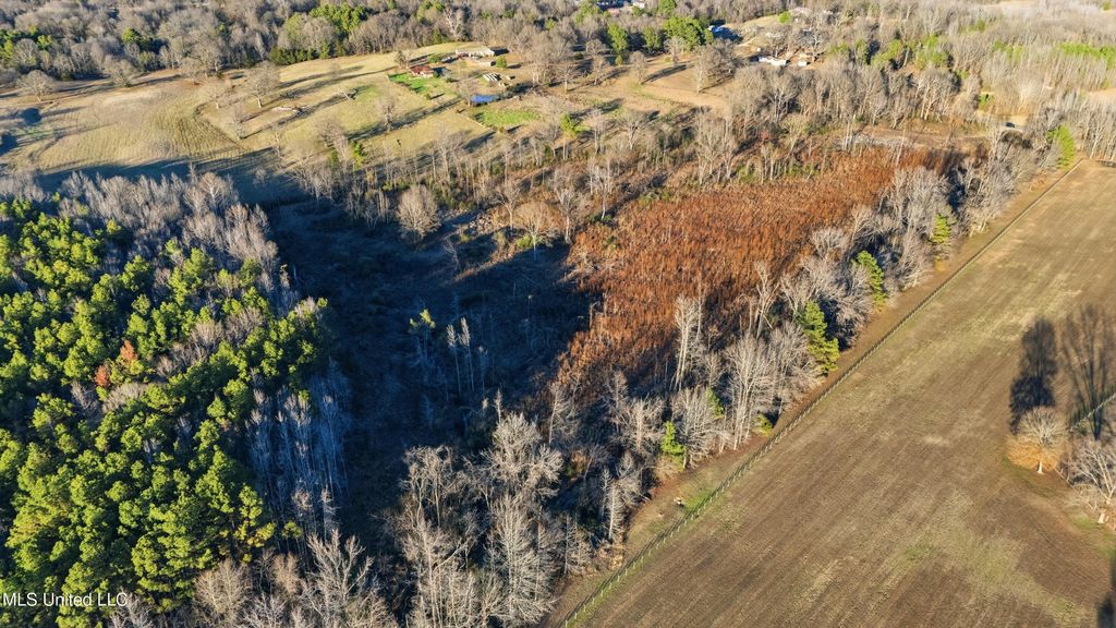 Gravel Springs Road, Senatobia, MS 38668 — photo 3