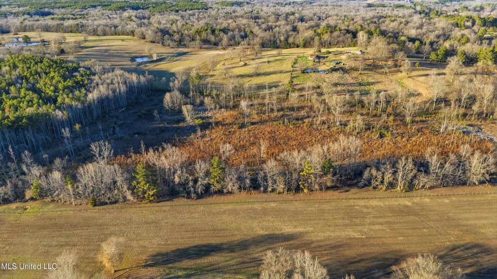 Gravel Springs Road, Senatobia, MS 38668 — photo 4