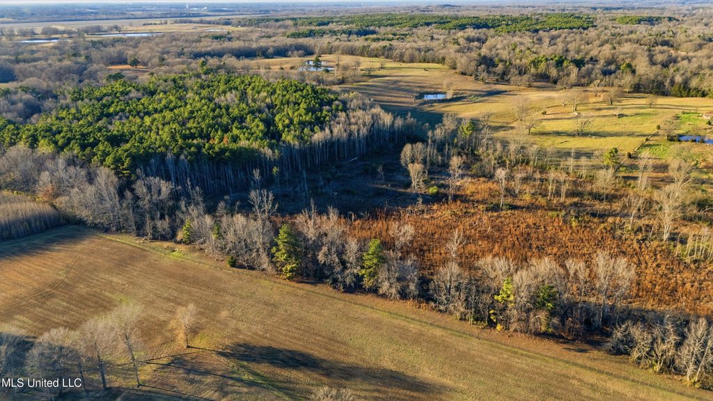 Gravel Springs Road, Senatobia, MS 38668 — photo 5