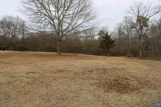 187 Road 1937, Geraldine, AL 35974