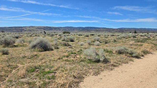 Ave E, Vicinity 193rd St West, Fairmont, CA 93536