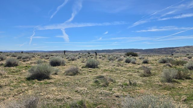 Ave E, Vicinity 193rd St West, Fairmont, CA 93536