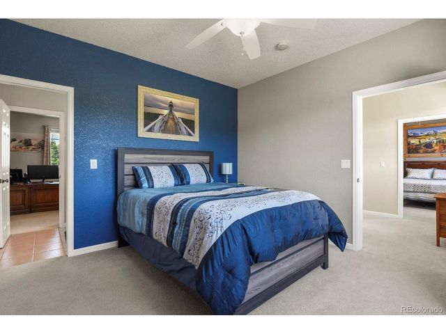 3973 Palmer Ridge Dr, Parker, CO 80134