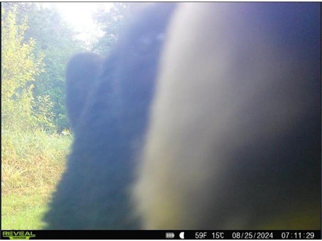 4202 E Zachau Road, Superior, WI 54880