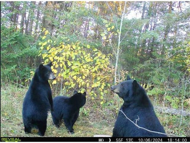 4202 E Zachau Road, Superior, WI 54880