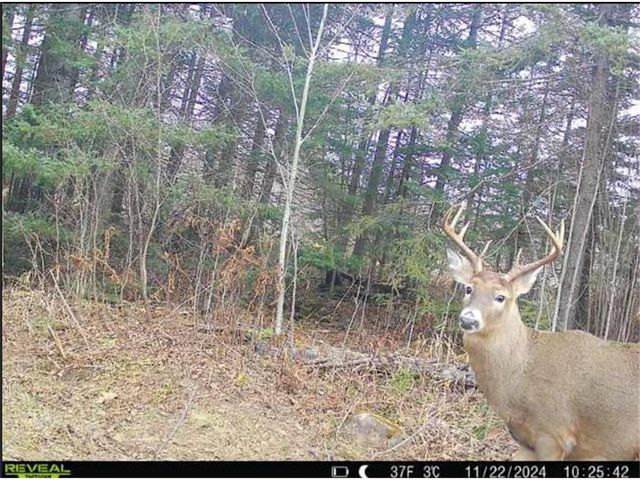 4202 E Zachau Road, Superior, WI 54880