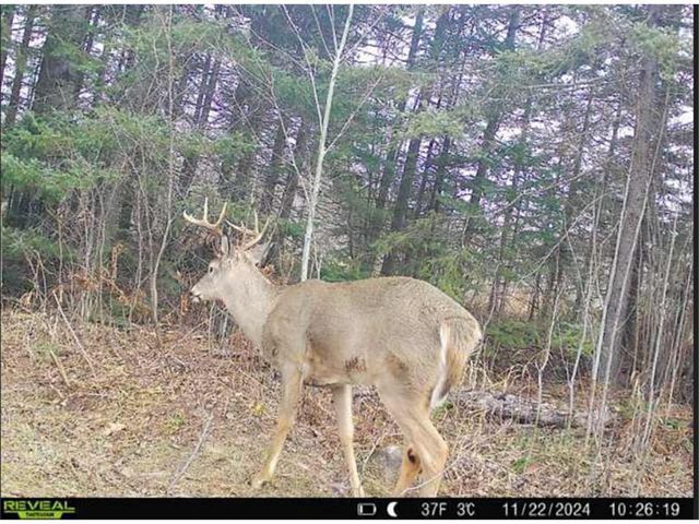 4202 E Zachau Road, Superior, WI 54880