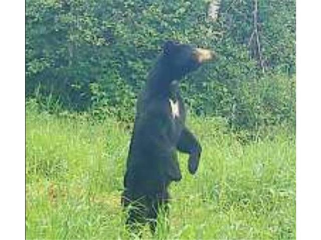 4202 E Zachau Road, Superior, WI 54880