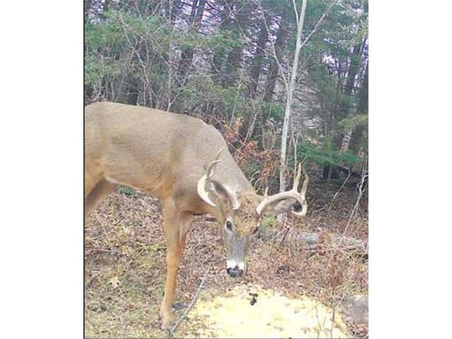 4202 E Zachau Road, Superior, WI 54880