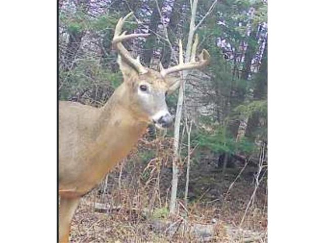 4202 E Zachau Road, Superior, WI 54880