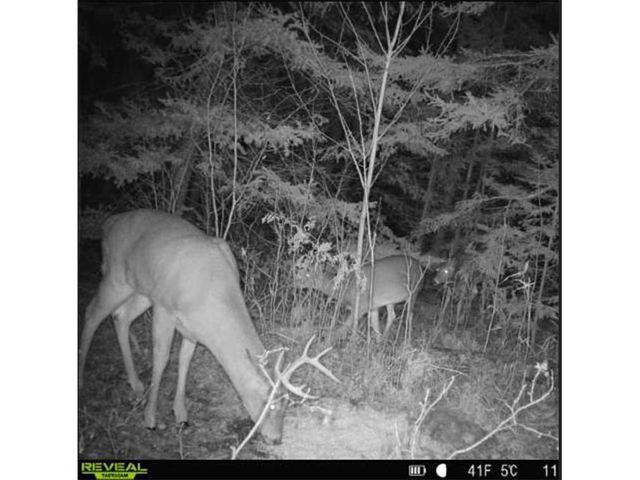 4202 E Zachau Road, Superior, WI 54880