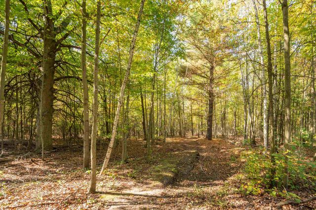 2554 S Fordney Road, Hemlock, MI 48626