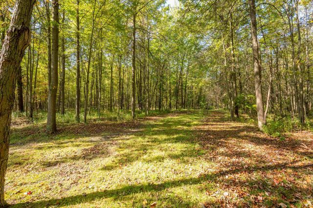 2554 S Fordney Road, Hemlock, MI 48626