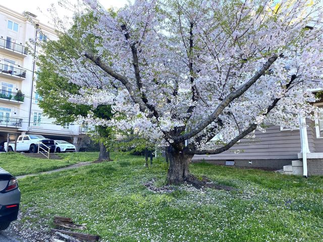 113 30th Ave, N, Nashville, TN 37203