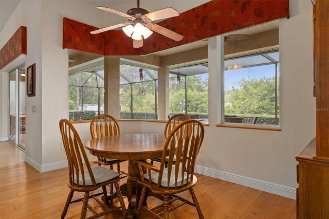 21133 MARSH HAWK DRIVE, Land O Lakes, FL 34638