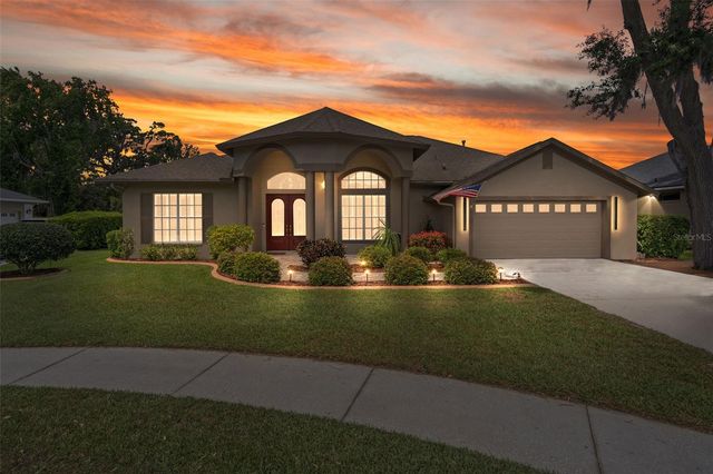 21133 MARSH HAWK DRIVE, Land O Lakes, FL 34638