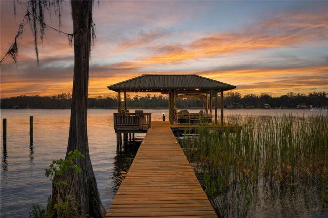 21133 MARSH HAWK DRIVE, Land O Lakes, FL 34638