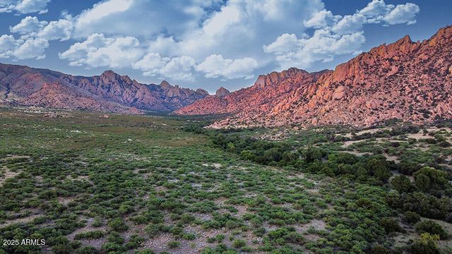 586 N TREATY HILL Trail, Saint David, AZ 85630