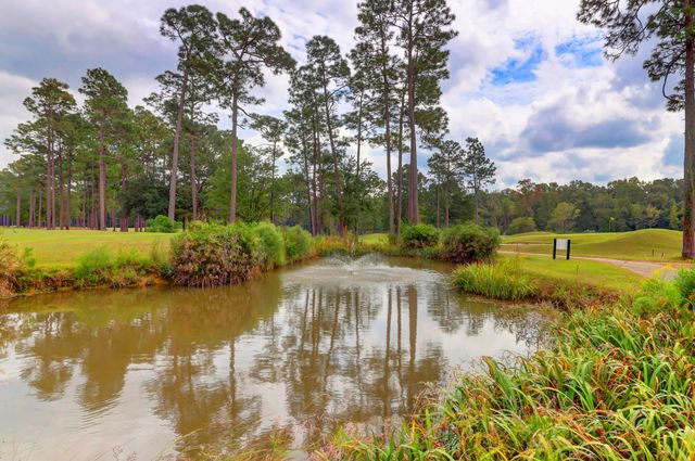 2509 Hummingbird Lane, Summerville, SC 29483