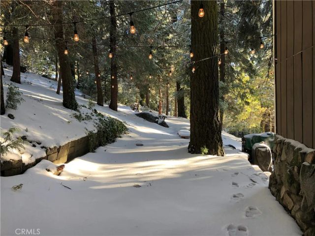 404 Mozumdar, Cedarpines Park, CA 92322
