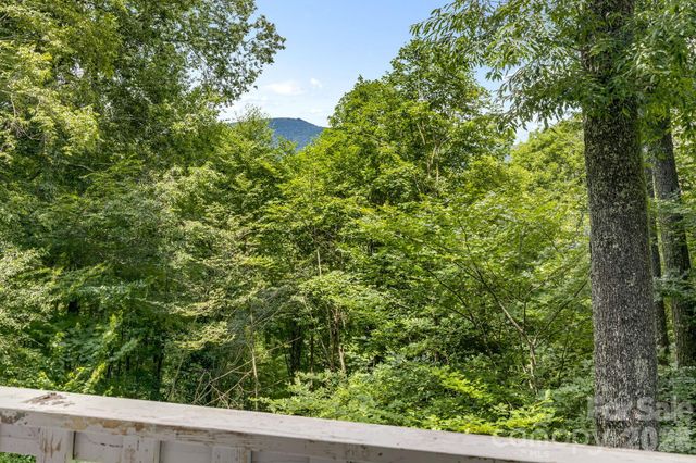 38 Bee Tree Lane, Mars Hill, NC 28754