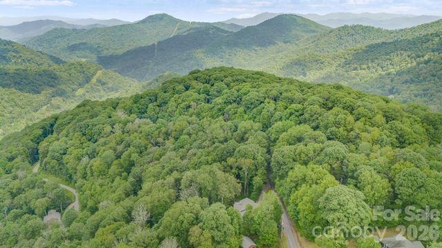 38 Bee Tree Lane, Mars Hill, NC 28754