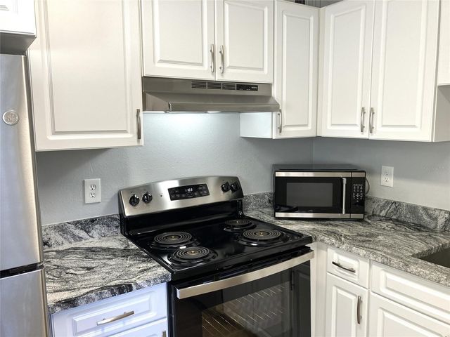 11703 RAINTREE VILLAGE BOULEVARD B, Temple Terrace, FL 33617