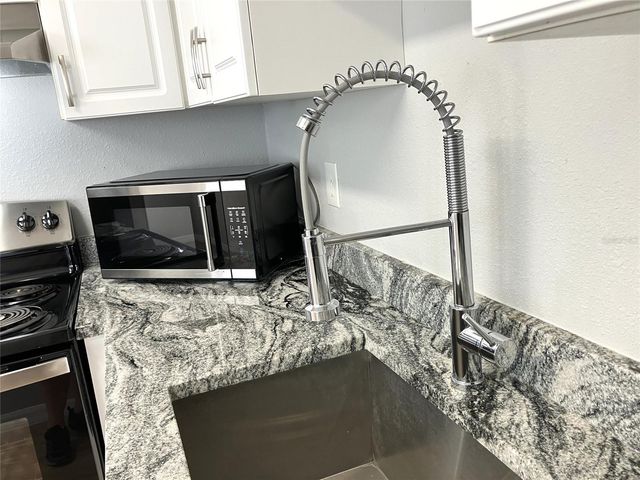 11703 RAINTREE VILLAGE BOULEVARD B, Temple Terrace, FL 33617