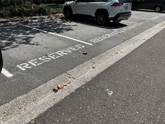 11703 RAINTREE VILLAGE BOULEVARD B, Temple Terrace, FL 33617