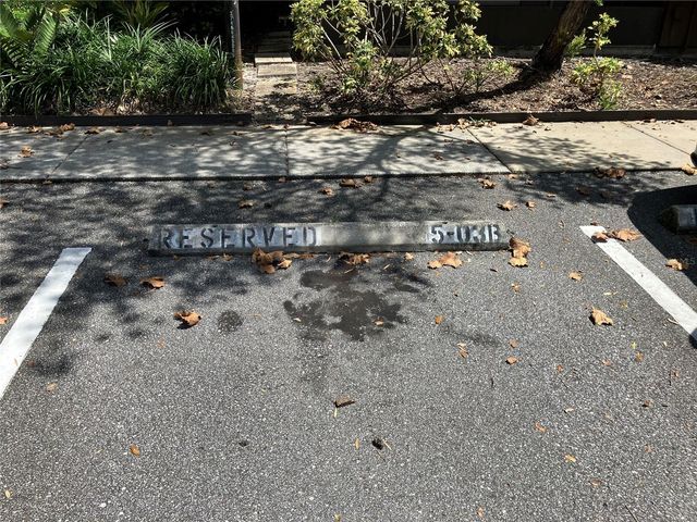 11703 RAINTREE VILLAGE BOULEVARD B, Temple Terrace, FL 33617