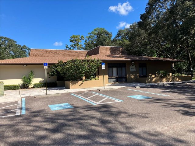 11703 RAINTREE VILLAGE BOULEVARD B, Temple Terrace, FL 33617