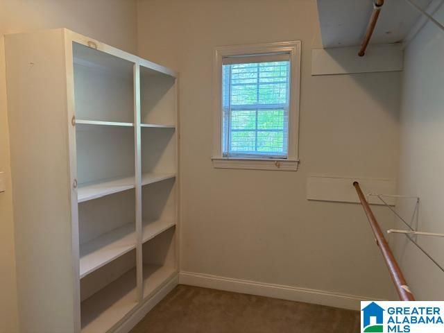 2506 W LAKESHORE DRIVE, Oneonta, AL 35121
