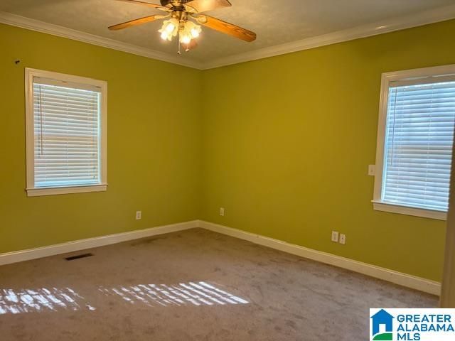 2506 W LAKESHORE DRIVE, Oneonta, AL 35121