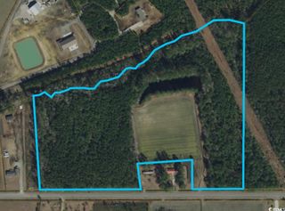 TBD Joyner Swamp Rd., Galivants Ferry, SC 29544