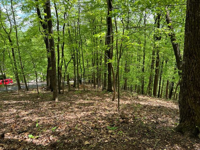0 Valley View Drive, Big Canoe, GA 30143