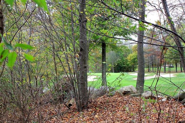7326 Donald Ross Street, Augusta, MI 49012