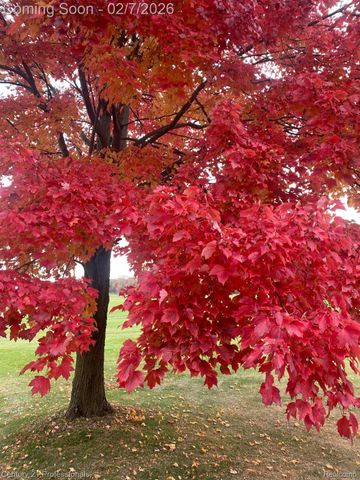 56500 12 Mile Road, Lyon Charter Township, MI 48165