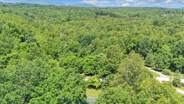 472 Wooded Acres DR, Hardy, VA 24101