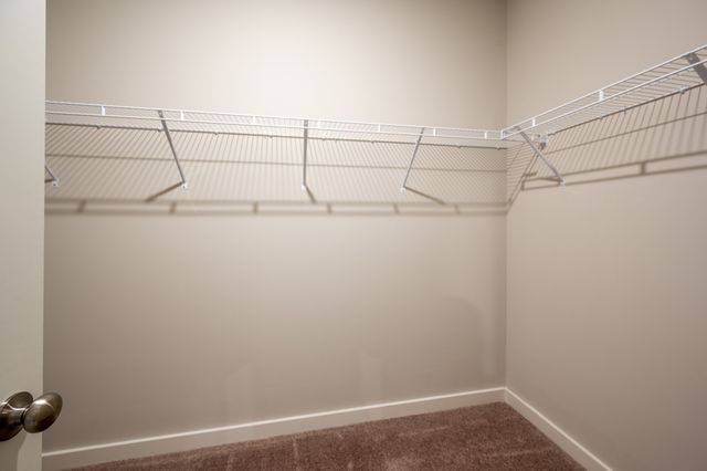 293 Casper Dr, Spring Hill, TN 37174
