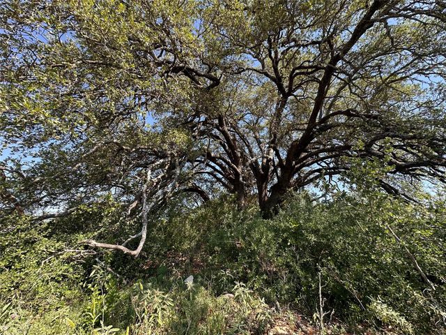 Lot 49 Serenity DR, Bertram, TX 78605