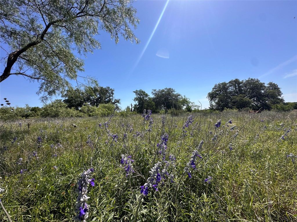 Lot 49 Serenity DR, Bertram, TX 78605