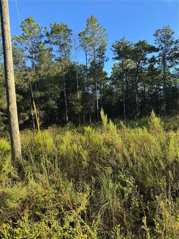 16327 SW 24TH PLACE, Ocala, FL 34481