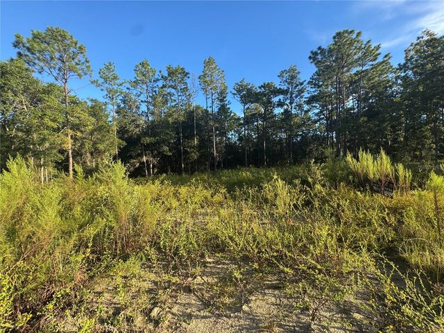 16327 SW 24TH PLACE, Ocala, FL 34481