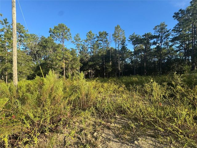 16327 SW 24TH PLACE, Ocala, FL 34481