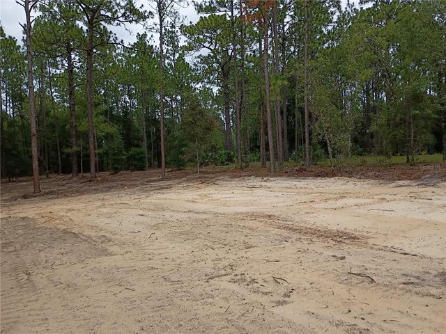16327 SW 24TH PLACE, Ocala, FL 34481