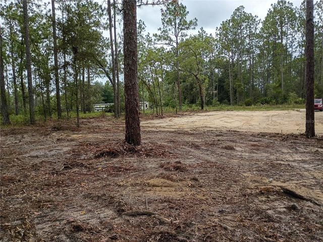 16327 SW 24TH PLACE, Ocala, FL 34481