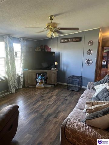 1536 Hobbs Reesor Road, Vine Grove, KY 40175