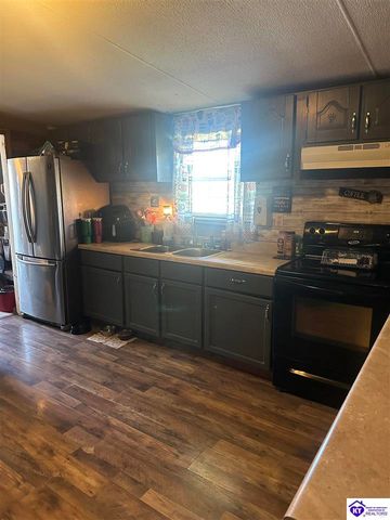 1536 Hobbs Reesor Road, Vine Grove, KY 40175